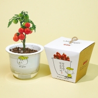 그린패밀리 식물키트- 방울토마토 (인쇄 상품)