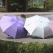 플라워 패턴 우양산, 자외선차단 우산 양산, 플라워 패턴 암막 3단 미니 UV