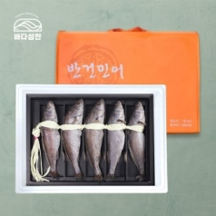 [바다성찬] 민어 선물세트 1호 (1.6kg이상)