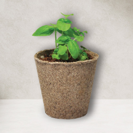 리틀 가든 에코포트 재배세트 200개부터