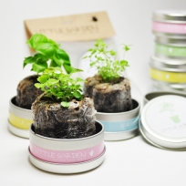 리틀가든 캔 재배세트