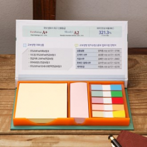 (H- 21) 대- 오색플래그지