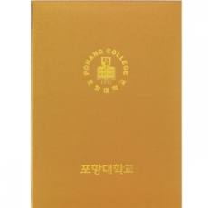 스크래치 골드 상장 케이스