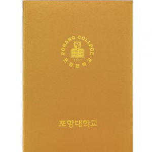 스크래치 골드 상장 케이스