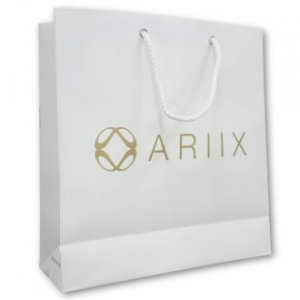 종이쇼핑백 12 250mm x 170mm x 260mm