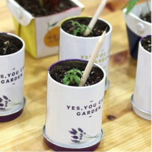 업사이클링 롱 씨앗 연필 1p // (인쇄 가능)