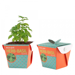 에코팟- 허브바질 (인쇄 상품)