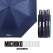 미치코런던 3HHL01F5 3단 완전자동 우산