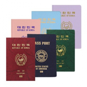 파스텔 누박 여권케이스