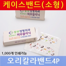 밴드케이스 소형 (오리 밴드)