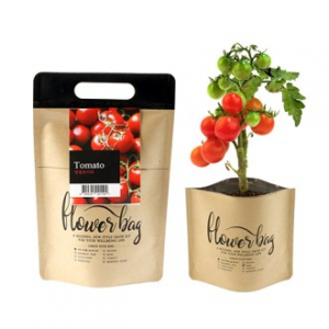 NEW 플라워백 종이 화분 키트 - 방울토마토 // (인쇄 가능)
