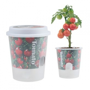 그로우 톡톡 저면 관수 미니 화분 - 방울토마토 (인쇄 상품)