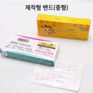 밴드 케이스형 ( 제작형) 중형 8p