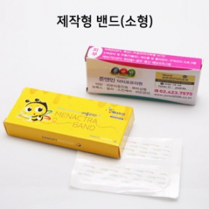 밴드 케이스형 ( 제작형) 소형 4p