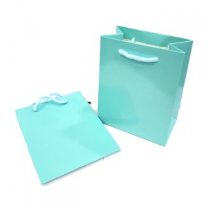 아트지 무지 쇼핑백 민트 (소) 11*14*6cm