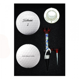 타이틀리스트 PRO V1 2구 볼마커 자석티 세트
