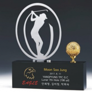 금속 트로피 326