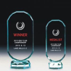 크리스탈 트로피 301