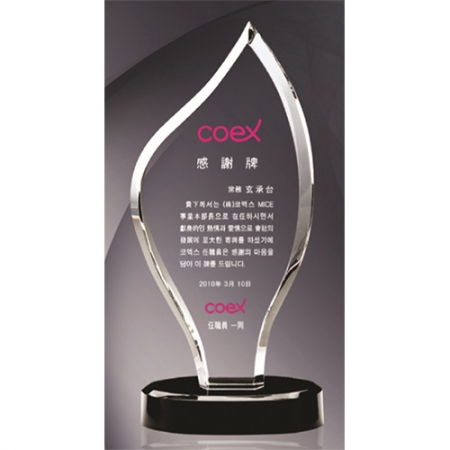 크리스탈 상패 - MJ56 - 5 #2