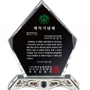 화이트 크리스탈 상패 st 118 5