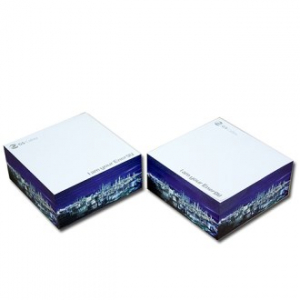 큐브형 측면전사 점착메모지 (100x100400매)