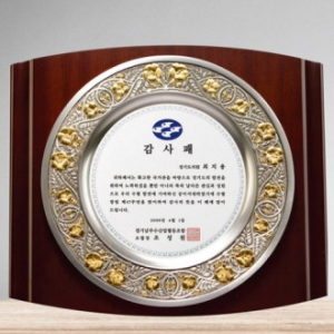 캐스팅 + 주석금부상패 / SD11) 357-3