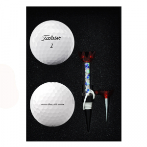타이틀리스트 PRO V1 2구 자석티 세트