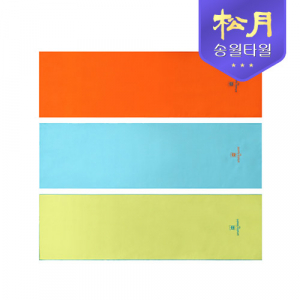 송월 아날도바시니 베이직 스포츠31 타올