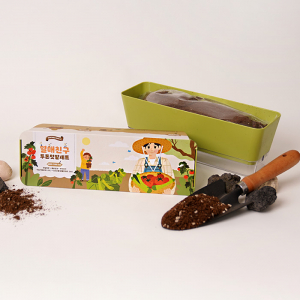 열매친구 투톤텃밭 세트 - 오이+방울토마토 (인쇄 상품)