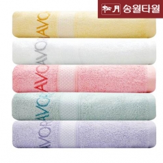 송월 샤보렌 가든파티 s