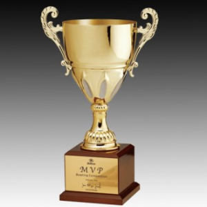 우승컵 트로피 W8 66-1 소피아