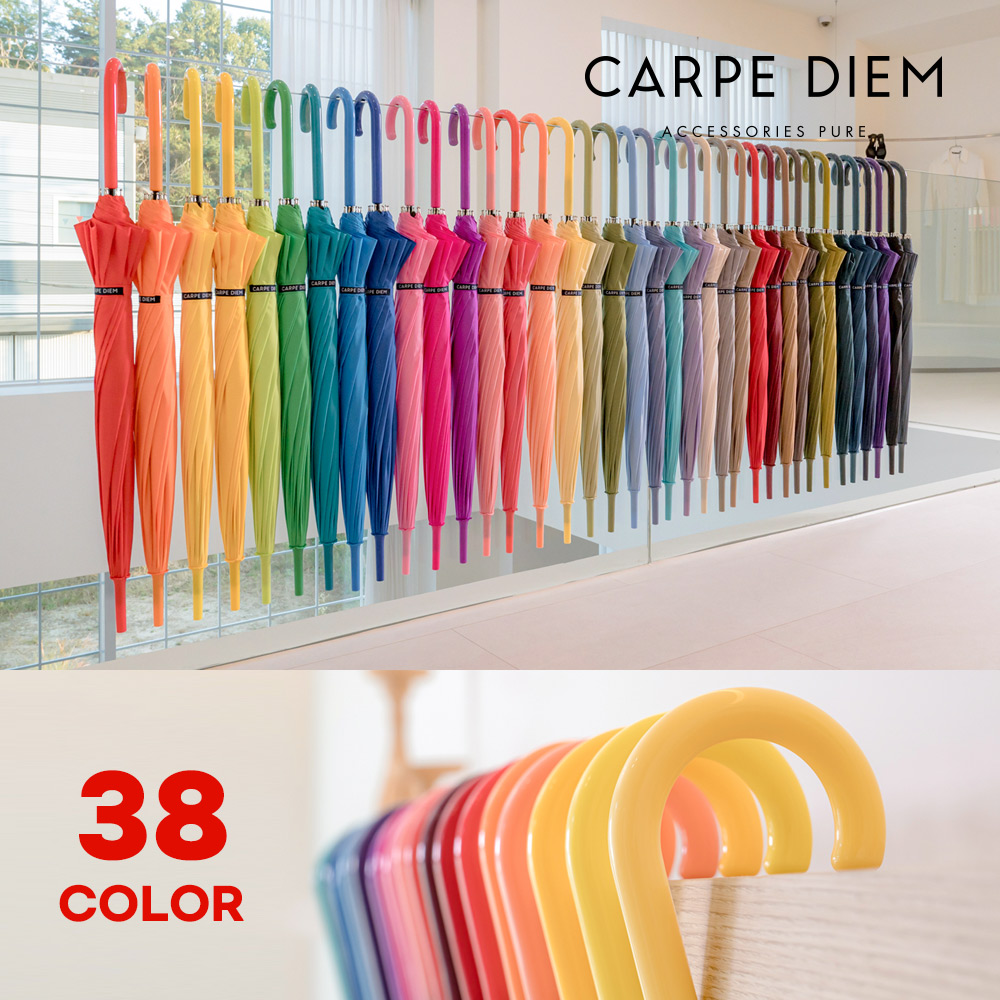 카르페디엠 3HHS001 장우산 55x12K #2