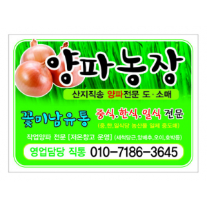 칼라 스티커 90- 50