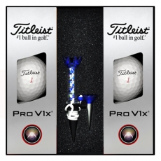 타이틀리스트 PRO V1X 6구 자석티 세트