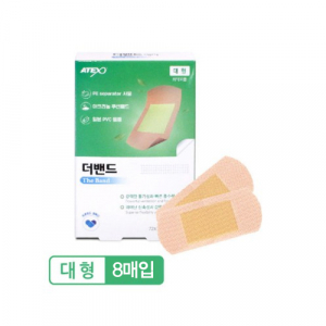 더 밴드 에이 대형