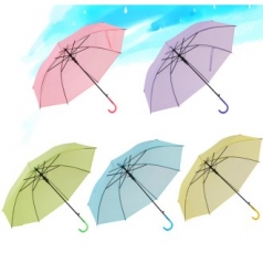 파스텔 칼라 장우산