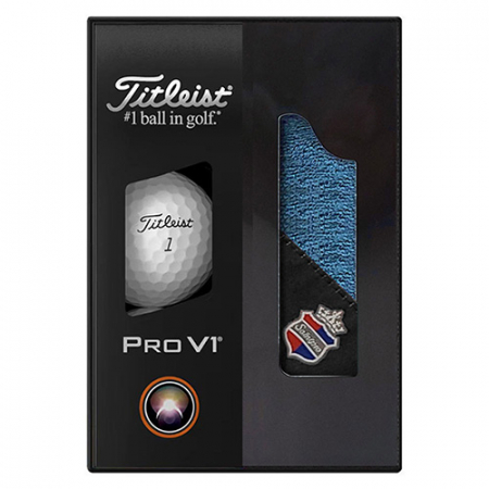 골프공 선물세트 타이틀 V1 3구 268 #2