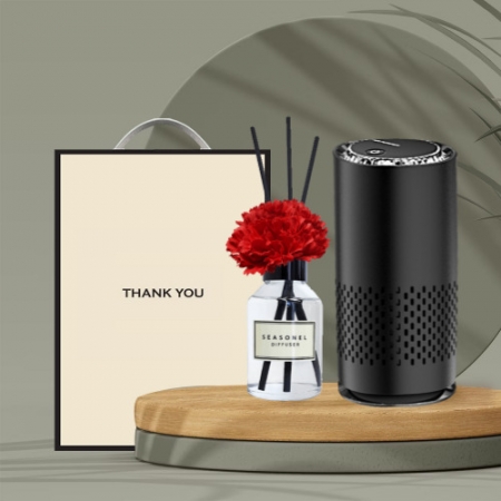 시즈넬 차량공기청정기+디퓨저100ml카네이션 #2