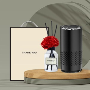 시즈넬 차량공기청정기+디퓨저100ml카네이션