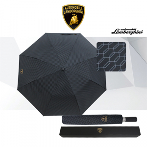 람보르기니 2단 65 자동 헥사곤 우산
