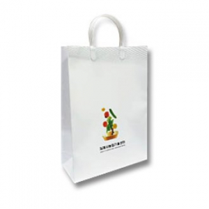 종이 쇼핑백3, 320x440x100mm 국전