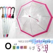 칼라 밴드 투명 비닐 우산