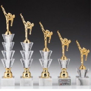 우승 대회 시상 트로피 태권도 별돌5종 E 주문 제작