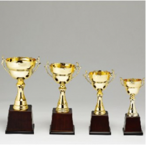 우승 대회 시상 트로피 무궁화컵 D 주문 제작