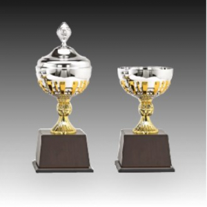 우승 대회 시상 트로피 돌체 C 주문제작