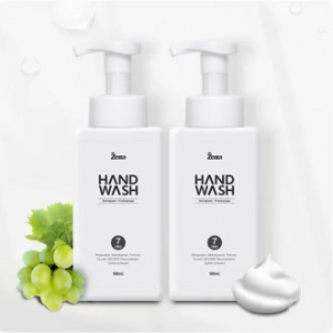 제타 포밍 손세정 핸드워시 500ml 청포도, 자몽향