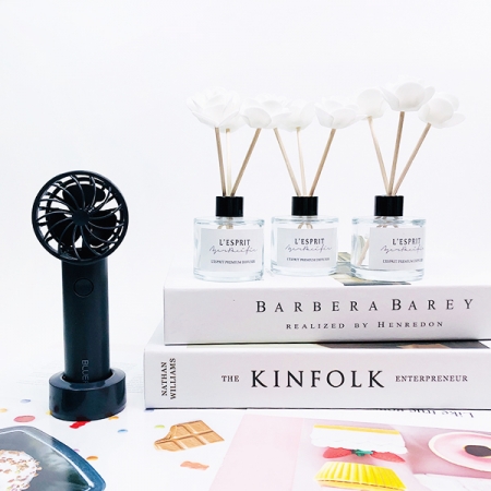 레스쁘리 스페셜 4P 세트 W(로즈팝 50mlx3ea+선풍기x1ea) #5