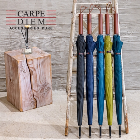 카르페디엠 3HHS009 장우산 #3