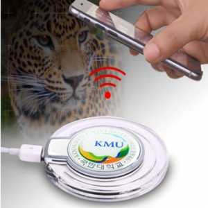 재규어크리스탈led무선충전기+ usb 충전케이블