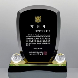 블랙크리스탈 상패 / SD12-017